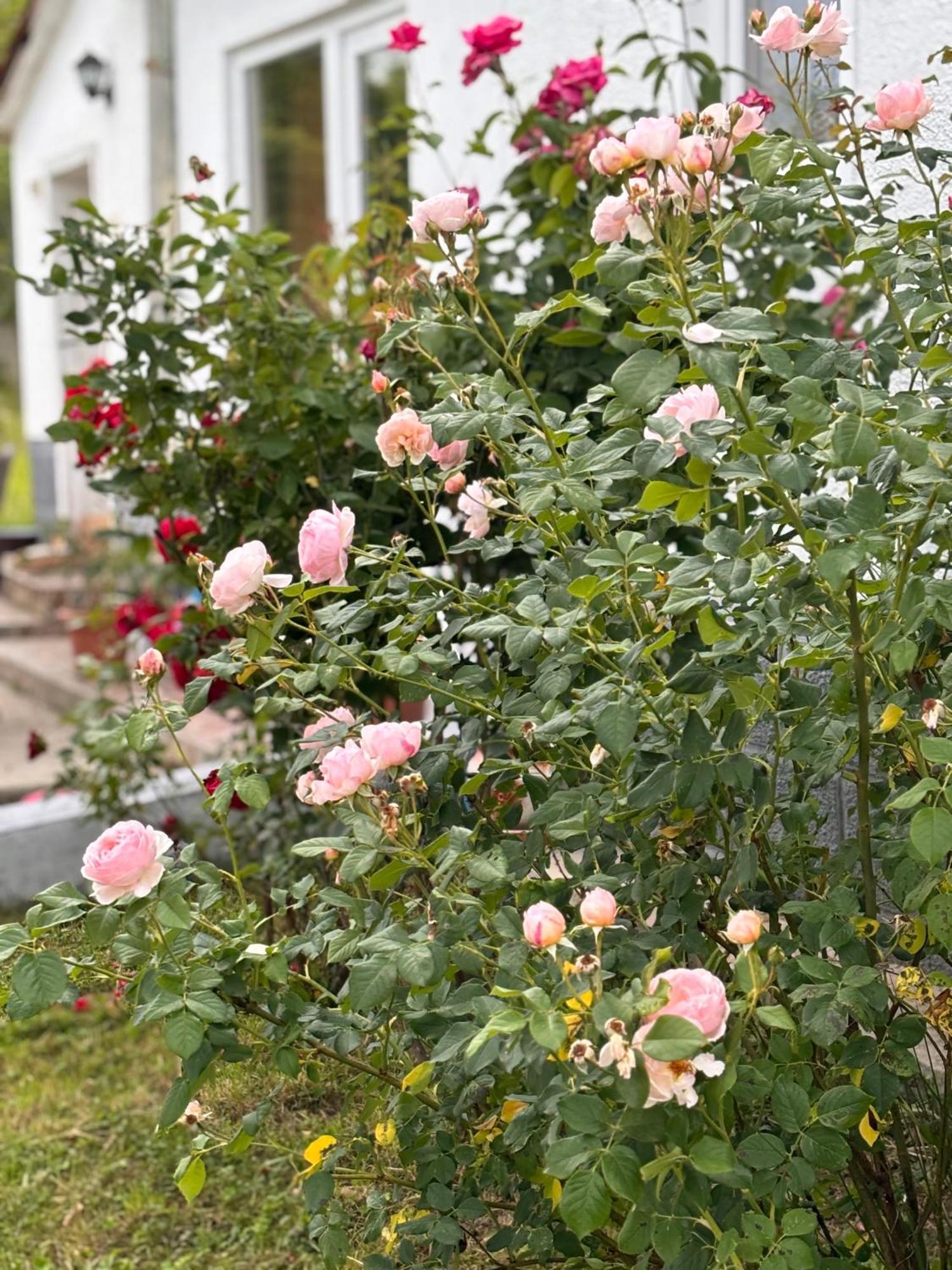 Country House Hatagel Экстерьер фото